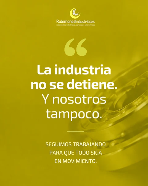Pieza de comunicación Rulemanes Industriales 243
